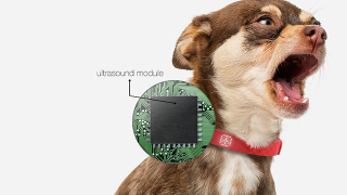 Illustration for article titled This Collar That Reads Pets' Emotions Is a Tech Travesty